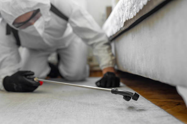 Professional Cockroach Control technician working in Marion, IA